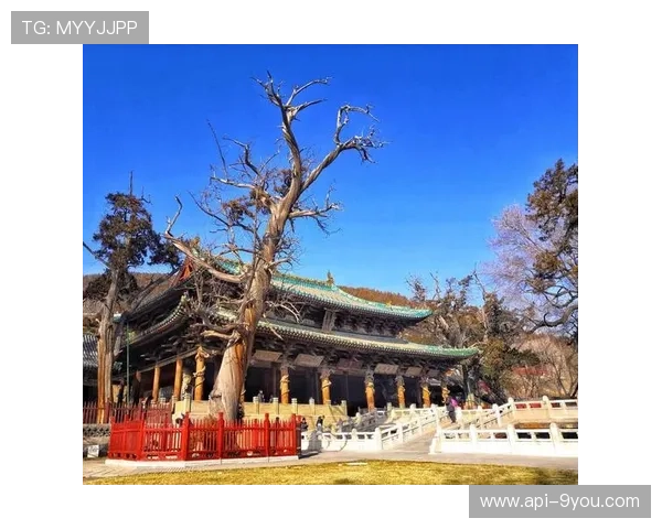 太原赛区三次违规被罚26万，文明观赛成整改重点